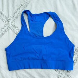 Fabletics Blue Sports Bra